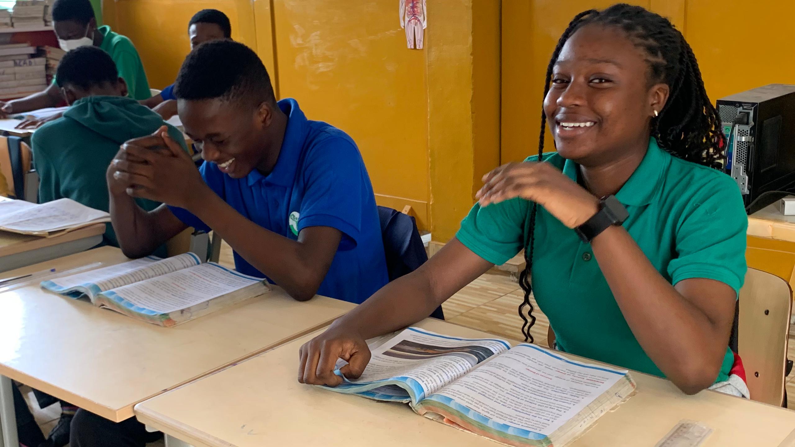 Mentor guiding student